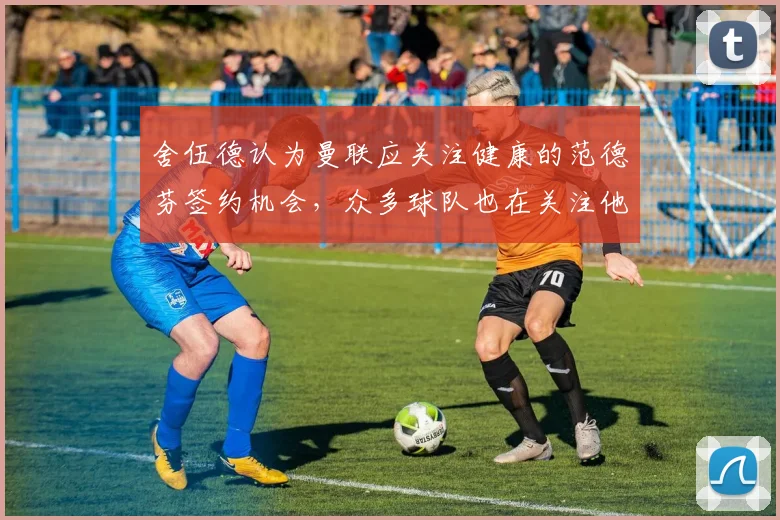 舍伍德认为曼联应关注健康的范德芬签约机会，众多球队也在关注他